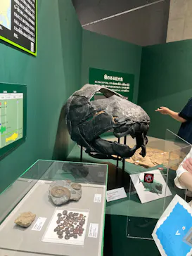 大絶滅展ー生命史のビッグファイブ（名古屋会場）に投稿された画像（2026/5/4）