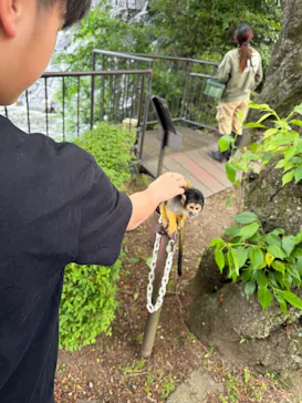 伊豆シャボテン動物公園に投稿された画像（2026/5/4）