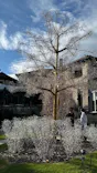 箱根ガラスの森美術館に投稿された画像（2026/5/4）