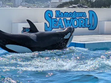 鴨川シーワールドに投稿された画像（2026/5/4）