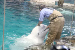 名古屋港水族館に投稿された画像（2026/5/4）