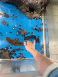 越前松島水族館に投稿された画像（2026/5/4）