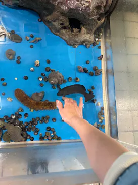越前松島水族館に投稿された画像（2026/5/4）