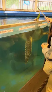 越前松島水族館に投稿された画像（2026/5/4）