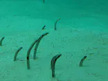 環境水族館アクアマリンふくしまに投稿された画像（2026/5/4）