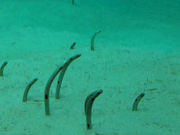 環境水族館アクアマリンふくしまに投稿された画像（2026/5/4）