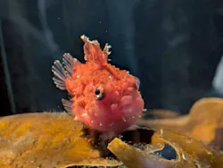 環境水族館アクアマリンふくしまに投稿された画像（2026/5/4）