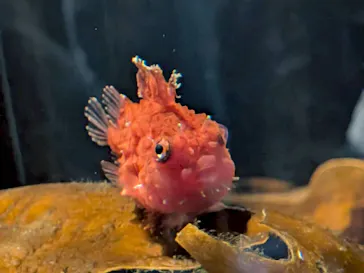 環境水族館アクアマリンふくしまに投稿された画像（2026/5/4）