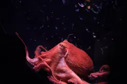 環境水族館アクアマリンふくしまに投稿された画像（2026/5/4）