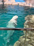 名古屋港水族館に投稿された画像（2026/5/4）