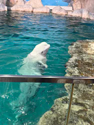 名古屋港水族館に投稿された画像（2026/5/4）
