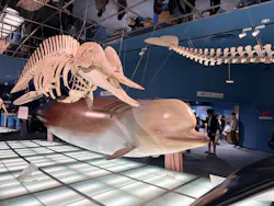 名古屋港水族館に投稿された画像（2026/5/4）