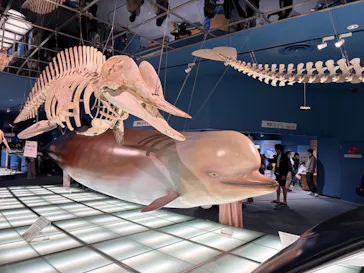 名古屋港水族館に投稿された画像（2026/5/4）