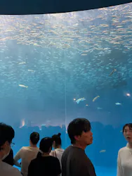 名古屋港水族館に投稿された画像（2026/5/4）