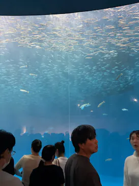 名古屋港水族館に投稿された画像（2026/5/4）