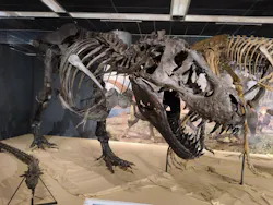 T-REX展～ティラノサウルスの進化～（新潟県立自然科学館）に投稿された画像（2026/5/4）