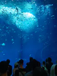 アクアワールド茨城県大洗水族館に投稿された画像（2026/5/4）