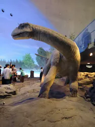 福井県立恐竜博物館に投稿された画像（2026/5/4）