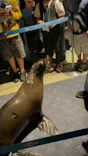 すみだ水族館に投稿された画像（2026/5/4）
