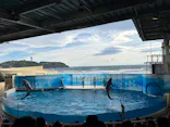 新江ノ島水族館に投稿された画像（2026/5/4）