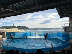 新江ノ島水族館に投稿された画像（2026/5/4）