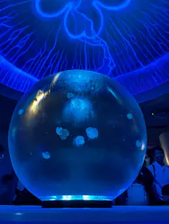 新江ノ島水族館に投稿された画像（2026/5/4）