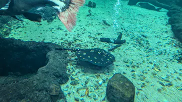栃木県なかがわ水遊園に投稿された画像（2026/5/4）