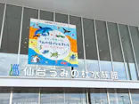 仙台うみの杜水族館に投稿された画像（2026/5/4）