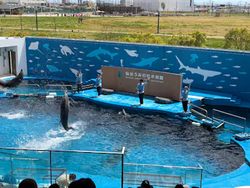 仙台うみの杜水族館に投稿された画像（2026/5/4）