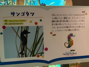 仙台うみの杜水族館に投稿された画像（2026/5/4）