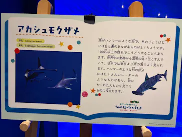 仙台うみの杜水族館に投稿された画像（2026/5/4）