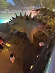 福井県立恐竜博物館に投稿された画像（2026/5/4）