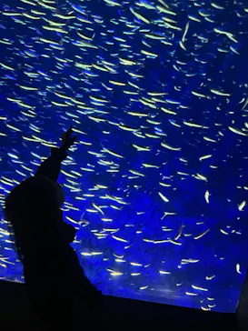 大分マリーンパレス水族館 「うみたまご」に投稿された画像（2026/5/4）