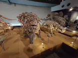 福井県立恐竜博物館に投稿された画像（2026/5/4）