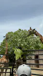 長崎バイオパークに投稿された画像（2026/5/5）