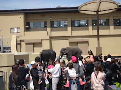 天王寺動物園に投稿された画像（2026/5/4）