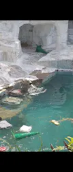 天王寺動物園に投稿された画像（2026/5/4）