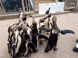 アクアワールド茨城県大洗水族館に投稿された画像（2026/5/4）