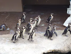 アクアワールド茨城県大洗水族館に投稿された画像（2026/5/4）