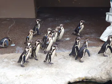 アクアワールド茨城県大洗水族館に投稿された画像（2026/5/4）