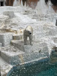 天王寺動物園に投稿された画像（2026/5/4）