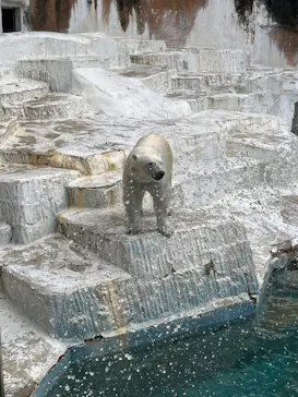 天王寺動物園に投稿された画像（2026/5/4）