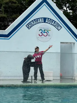 しながわ水族館に投稿された画像（2026/5/4）