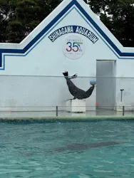 しながわ水族館に投稿された画像（2026/5/4）