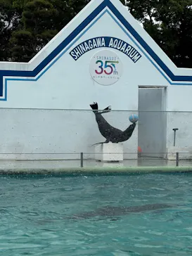 しながわ水族館に投稿された画像（2026/5/4）