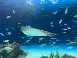 サンシャイン水族館に投稿された画像（2026/5/5）