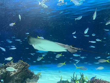 サンシャイン水族館に投稿された画像（2026/5/4）