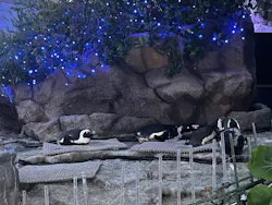 サンシャイン水族館に投稿された画像（2026/5/4）