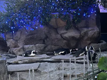サンシャイン水族館に投稿された画像（2026/5/4）