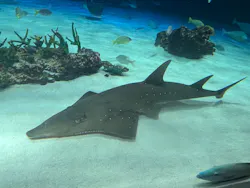 サンシャイン水族館に投稿された画像（2026/5/4）